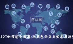 USDT如何安全储存：冷钱包的未来发展