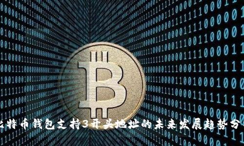 比特币钱包支持3开头地址的未来发展趋势分析