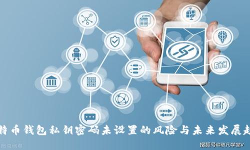 比特币钱包私钥密码未设置的风险与未来发展趋势
