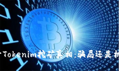 揭开Tokenim挖矿真相:骗局还是机会?