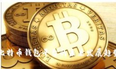中国比特币钱包平台的未来发展趋势分