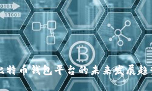 中国比特币钱包平台的未来发展趋势分析