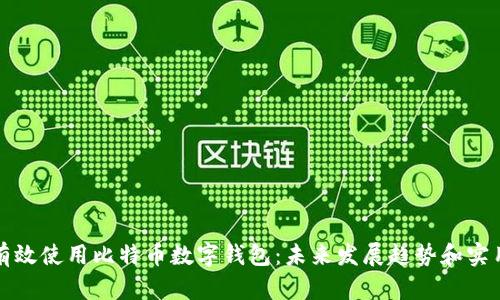 如何有效使用比特币数字钱包:未来发展趋势和实用指南