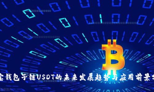 波宝钱包子链USDT的未来发展趋势与应用前景分析