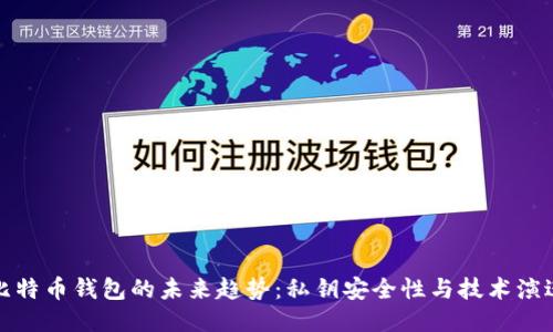 比特币钱包的未来趋势:私钥安全性与技术演进