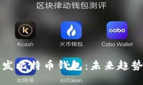 如何自己开发比特币钱包:未来趋势与技术指南