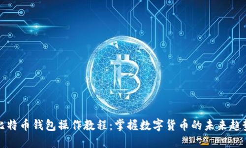 比特币钱包操作教程:掌握数字货币的未来趋势
