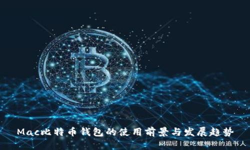 Mac比特币钱包的使用前景与发展趋势