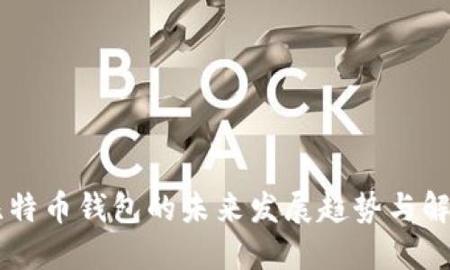 手机比特币钱包的未来发展趋势与解决方案