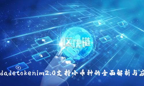  ansiedadetokenim2.0支持小币种的全面解析与应用前景