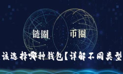 : 区块链支付应该选择哪种钱包？详解不同类型数字钱包的优劣