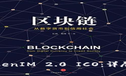 如何成功参与TokenIM 2.0 ICO：详尽指南与策略分析