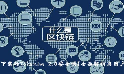 百度下载的Tokenim 2.0安全吗？全面解析与用户指南