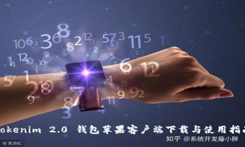 Tokenim 2.0 钱包苹果客户端下载与使用指南