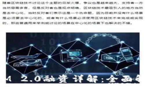   
以太坊Token IM 2.0融资详解：全面解析、风险与机会