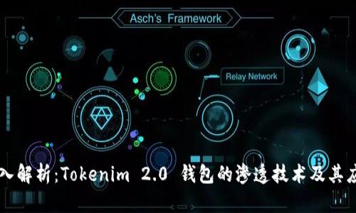 深入解析：Tokenim 2.0 钱包的渗透技术及其应用