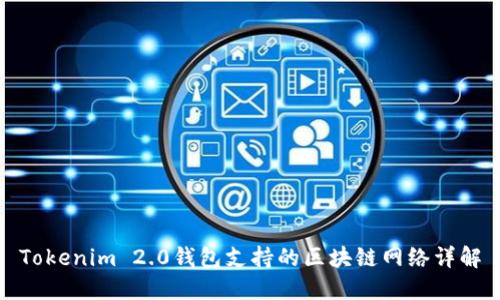 Tokenim 2.0钱包支持的区块链网络详解