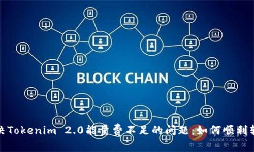 解决Tokenim 2.0能量费不足的问题：如何顺利转账