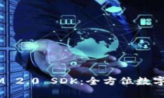 深入探讨 TokenIM 2.0 SDK：全