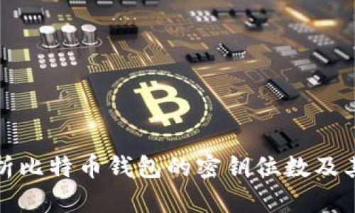 全面解析比特币钱包的密钥位数及其重要性