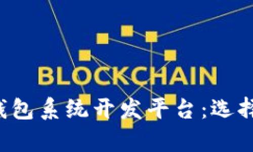全面解析区块链钱包系统开发平台：选择、开发及未来趋势