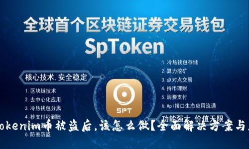 当你的Tokenim币被盗后，该怎么做？全面解决方案与应对策略