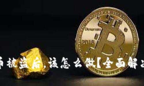 当你的Tokenim币被盗后，该怎么做？全面解决方案与应对策略