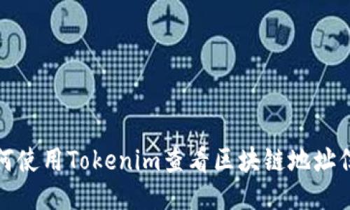 如何使用Tokenim查看区块链地址信息