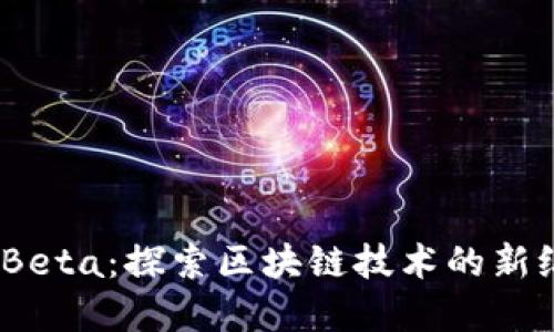 Tokenim 2.0 Beta：探索区块链技术的新纪元与未来发展