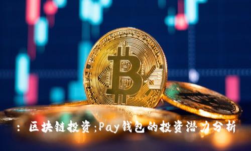 : 区块链投资：Pay钱包的投资潜力分析